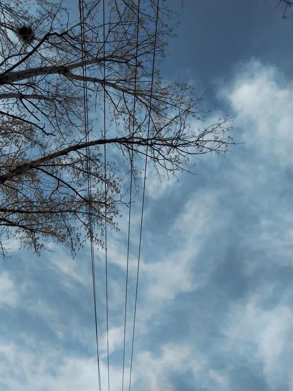 你问我答你问我答来咯！有人问从市区到天府机场的大巴车平均发车时间是多久。成都公