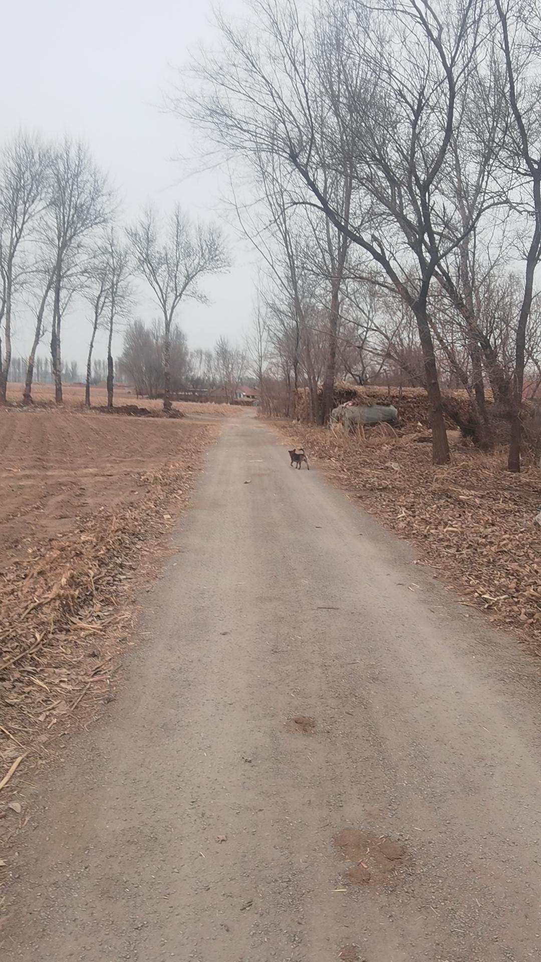 对交过公粮的农民，养老金100多块钱公平吗，亲们怎么认为的？农民养老金：现实落差