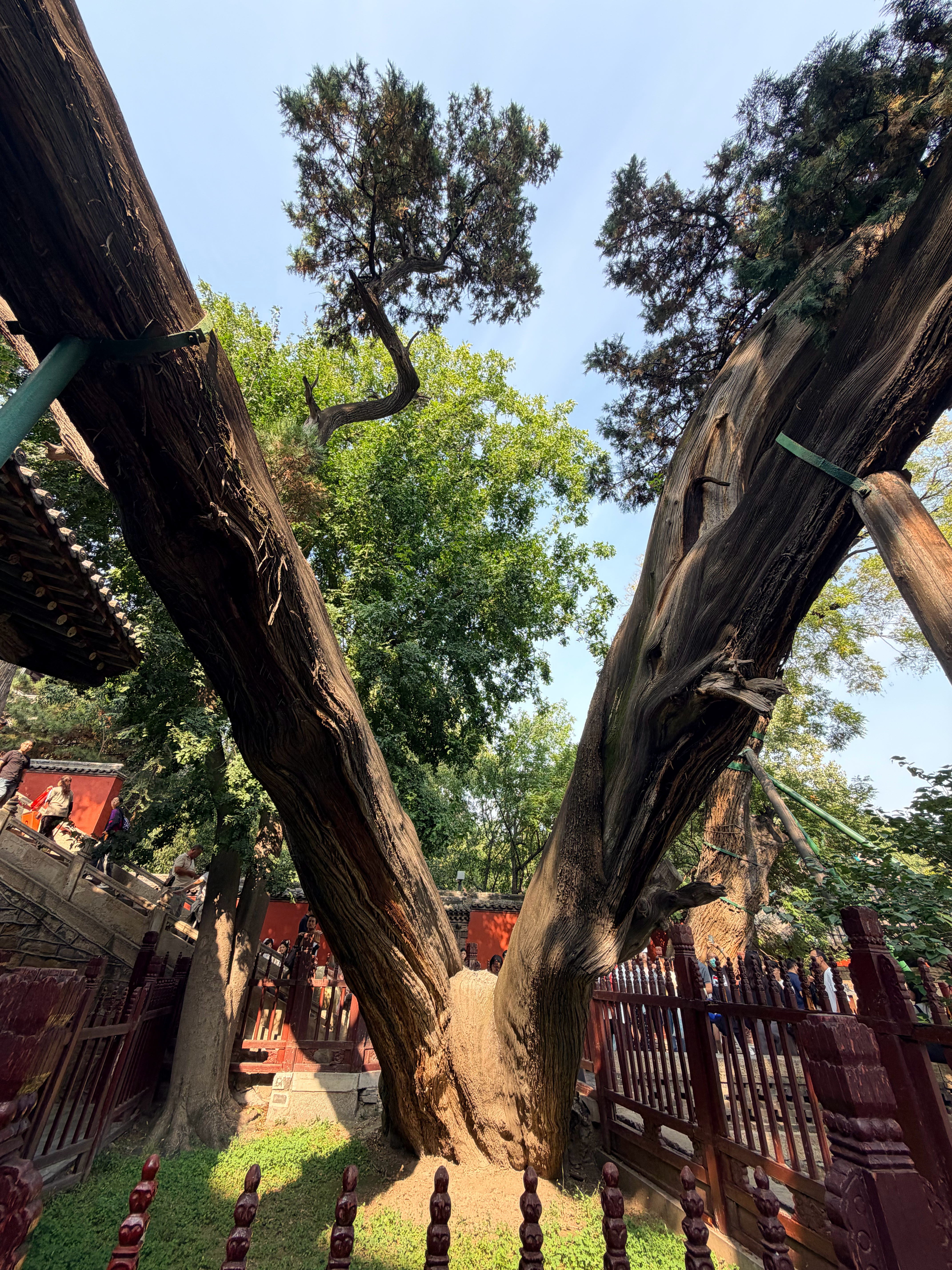 打卡太原，晋祠实在是太好看了，即使作为一个公园，在合适的天气晃悠也是非常惬意，下次不带娃我要来这呆一