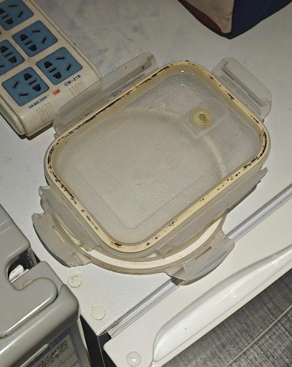 看到同事的饭盒盖子