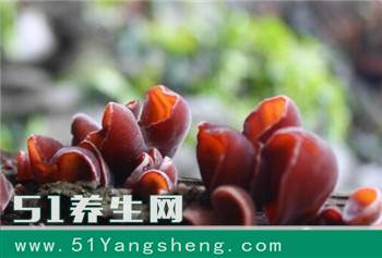 尿酸高吃什么好? 乡间里的这几颗蔬菜都是防治痛风的良药!
