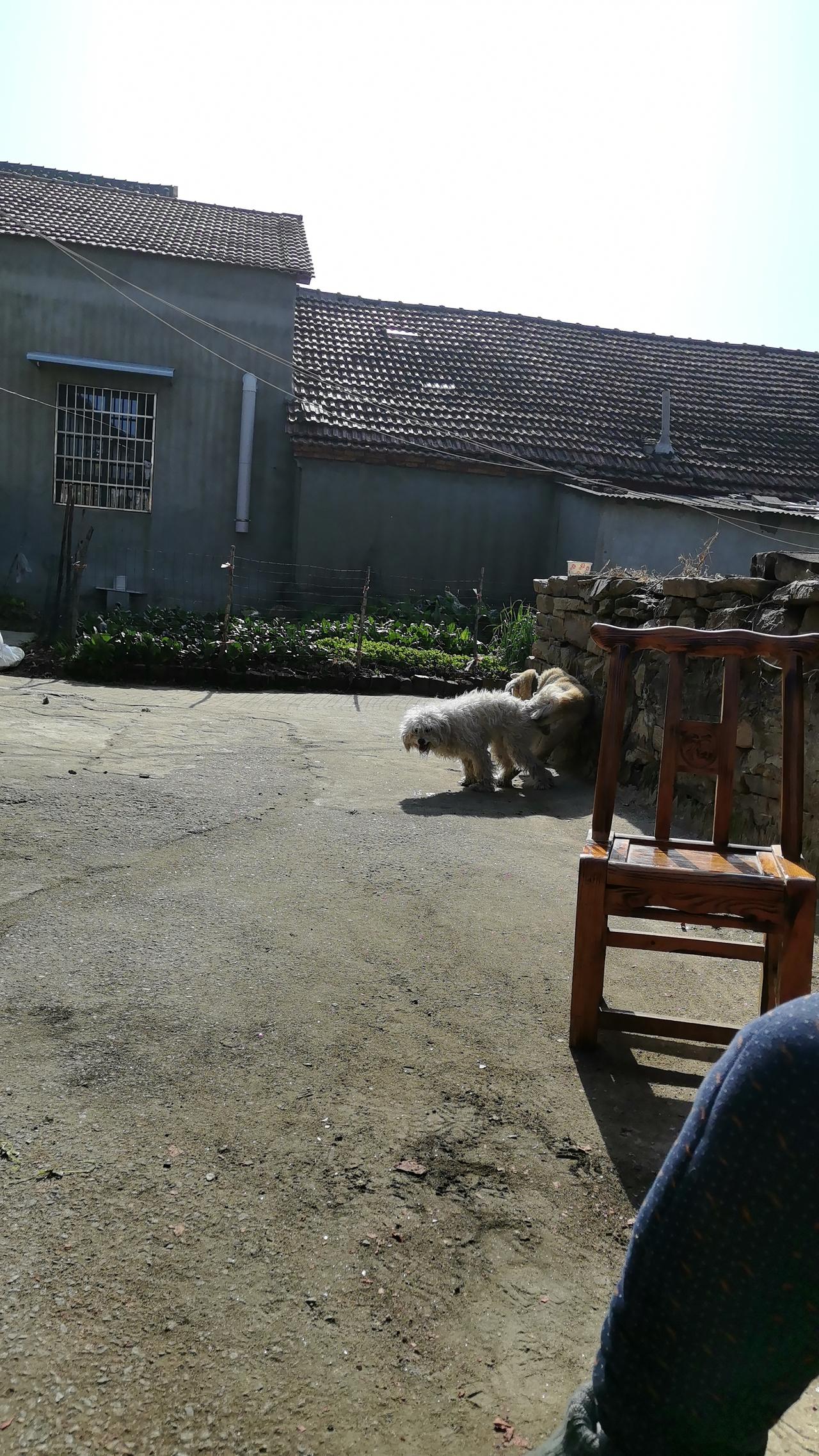 因为明天要上班，便昨晚就叫了今天下午两点的顺风车，谁知快三点都没人接单，把我急死