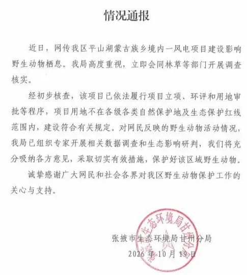 甘肃张掖通报“一风电项目建设影响野生动物栖息”