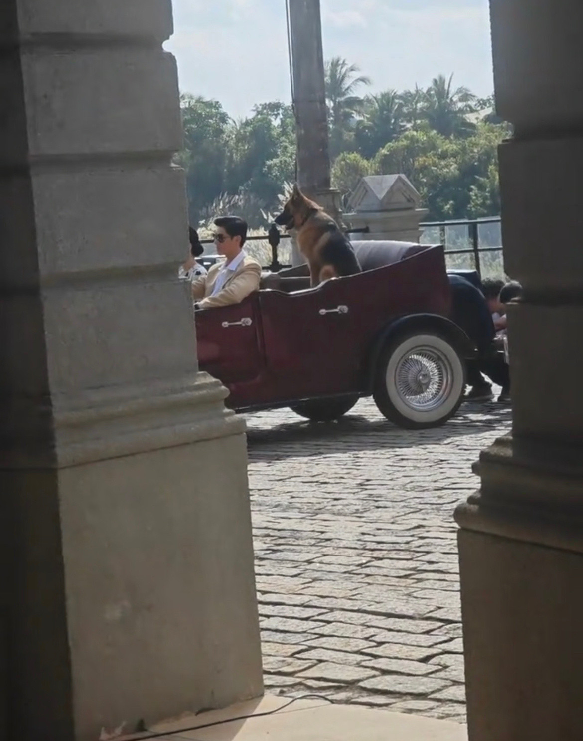 杨紫董竹君造型路透杨紫新剧《玉兰花开君再来》董竹君造型路透来了！