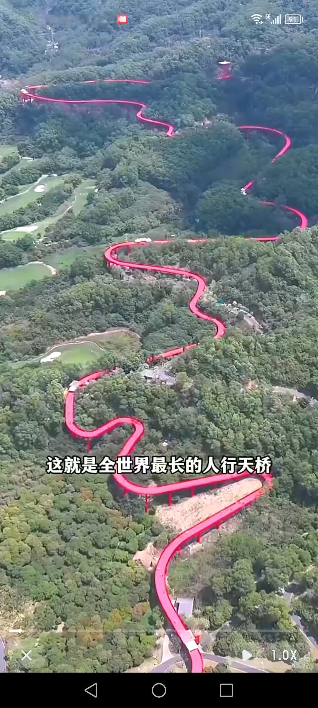 深圳光明虹桥火出圈啦，它可是全球最长的人行天桥！来回要3个小时。整座桥长4公