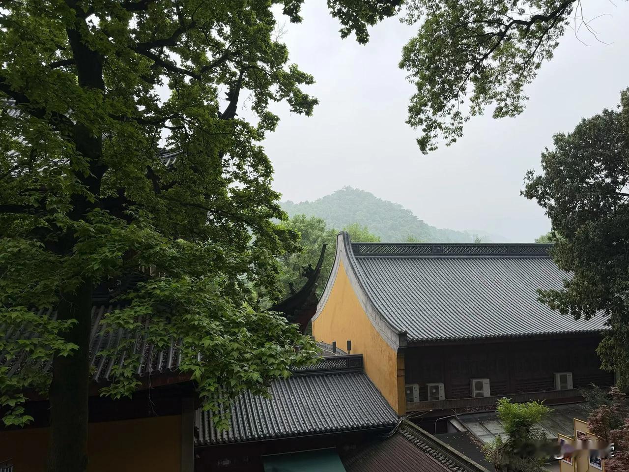 这个事你信吗？我的一个朋友，小时候他妈给他算卦，说他是“单人单马单刀枪”。