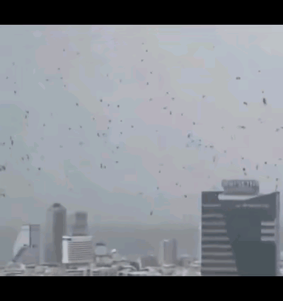 就算以色列可以控制媒体颠倒黑白，可以用虚假的宣传蒙蔽世界：以色列的伤亡很小，特拉