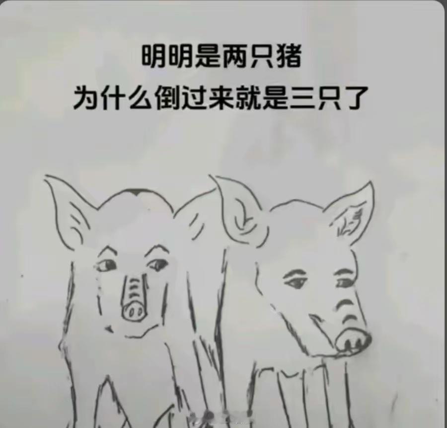 明明是两只猪，为什么倒过来就是三只了？