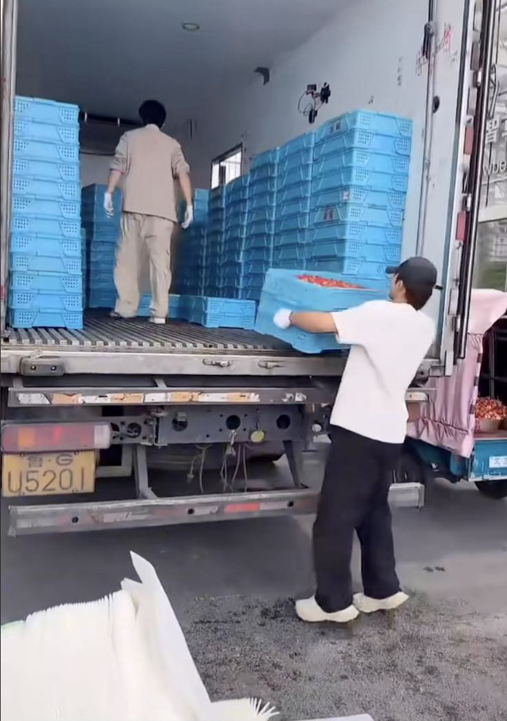 十个勤天回应种地三年收获第一季他们是去种地的。第四季他们是为了土地去的。十年后