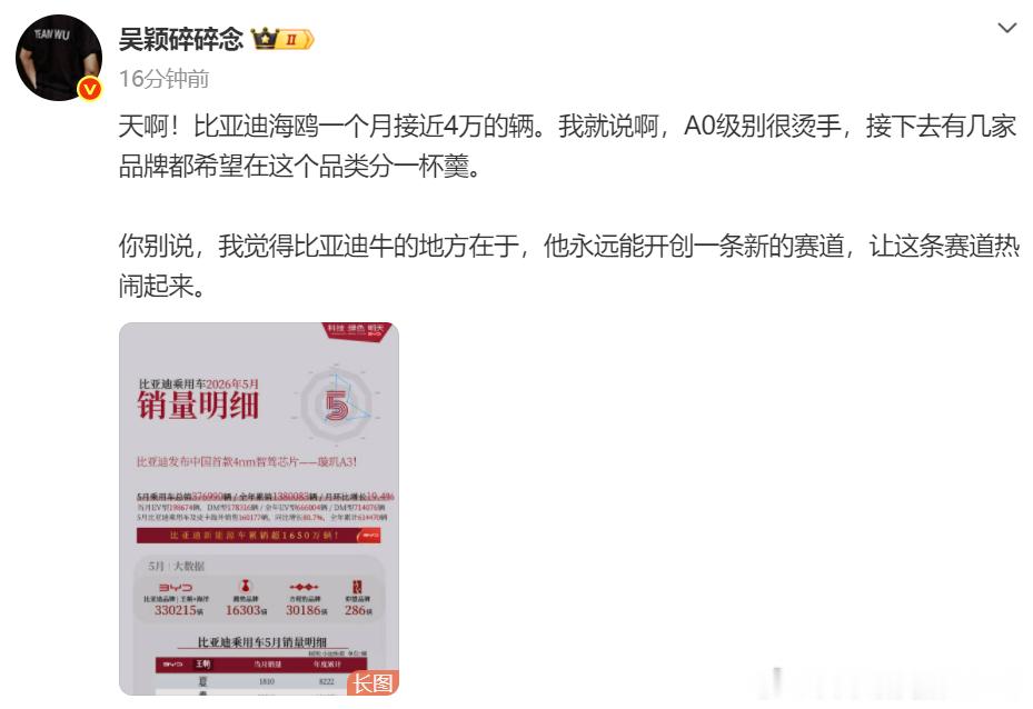 不是哥们？你不知道比亚迪海鸥现在都是出海车型吗？国内已经掉到半数以下了。而且去年