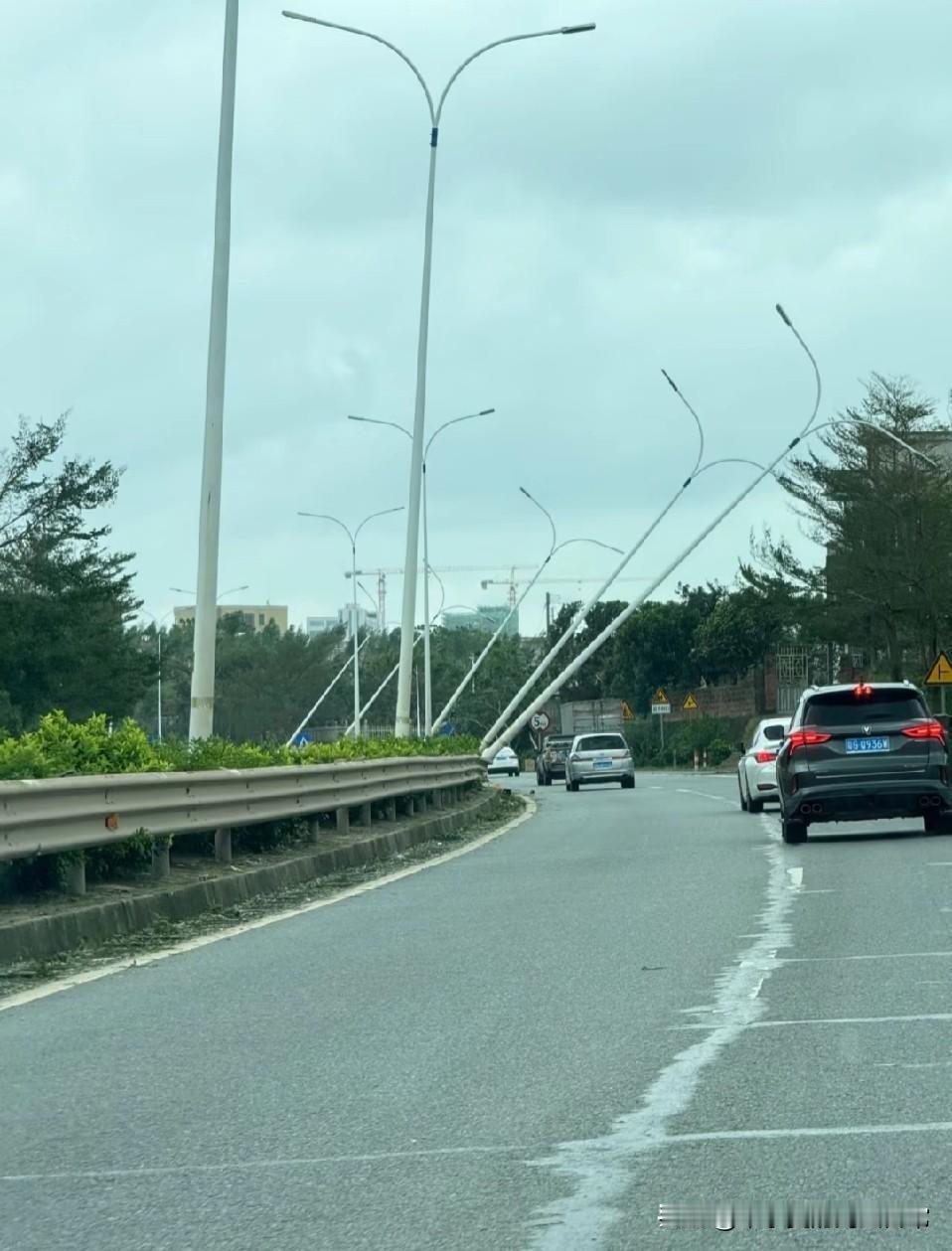 终于明白湛江地区穷了，台风来一次，破产一次！“台风来一次，湛江破产一次”的