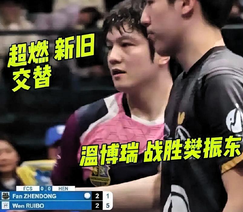 樊振东2-3温瑞博全场技术统计（精简完整版）一、全场核心数据（最关键）