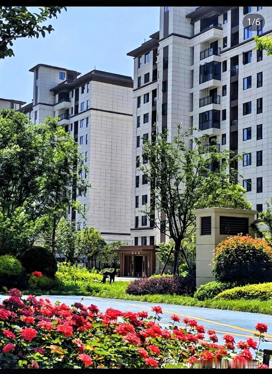 这两天总算琢磨过味儿了！今年满大街催着办房产证，连十几年的办证老大难都被兜底解