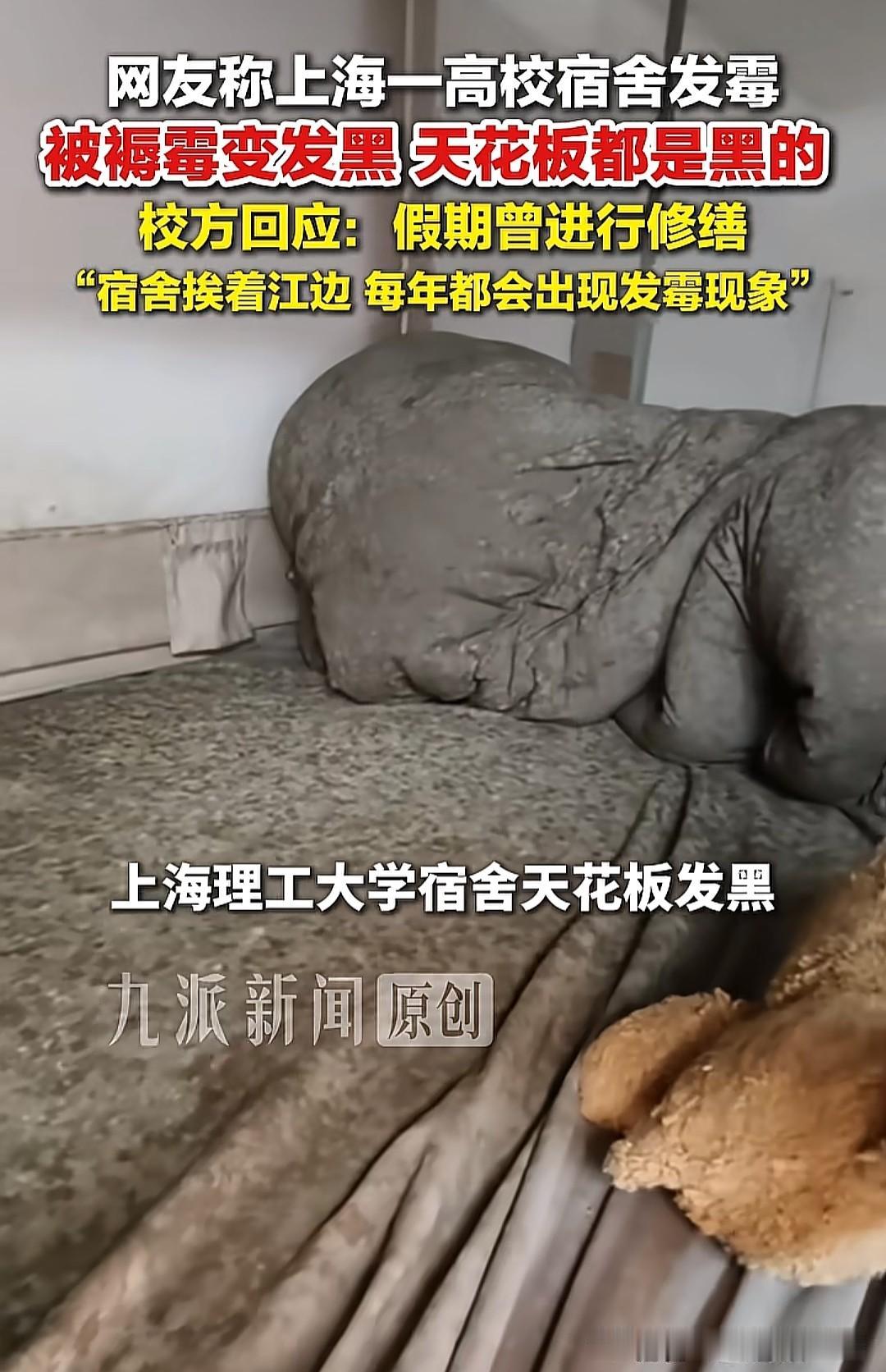 一间本该住人的大学宿舍，被褥霉到发黑、天花板霉成一片深色，学生拍下画面发到网上，