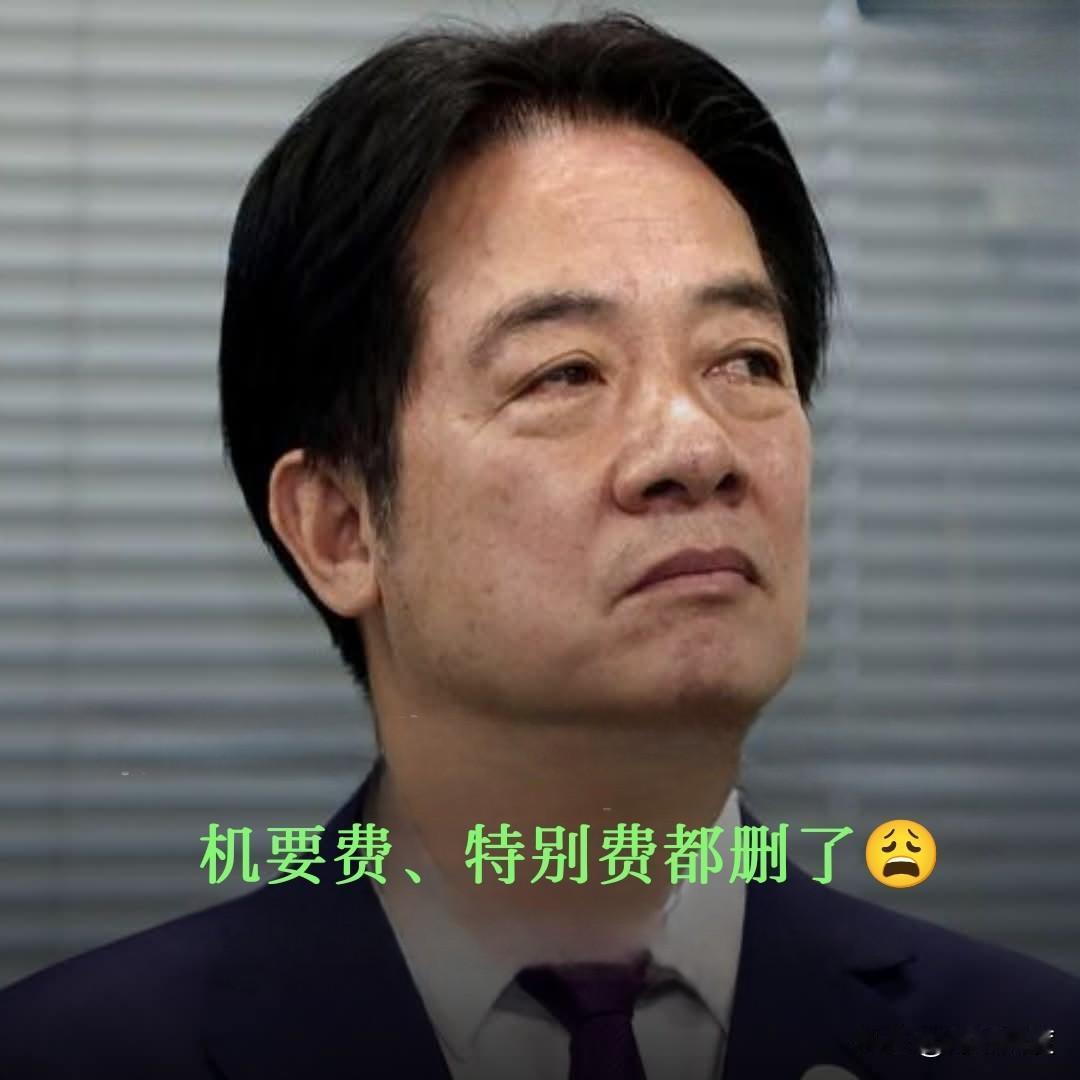 这位今天被翁晓玲捏住了七寸，机要费、特别费被删的删冻的冻，绿委肺都气炸了！机要费