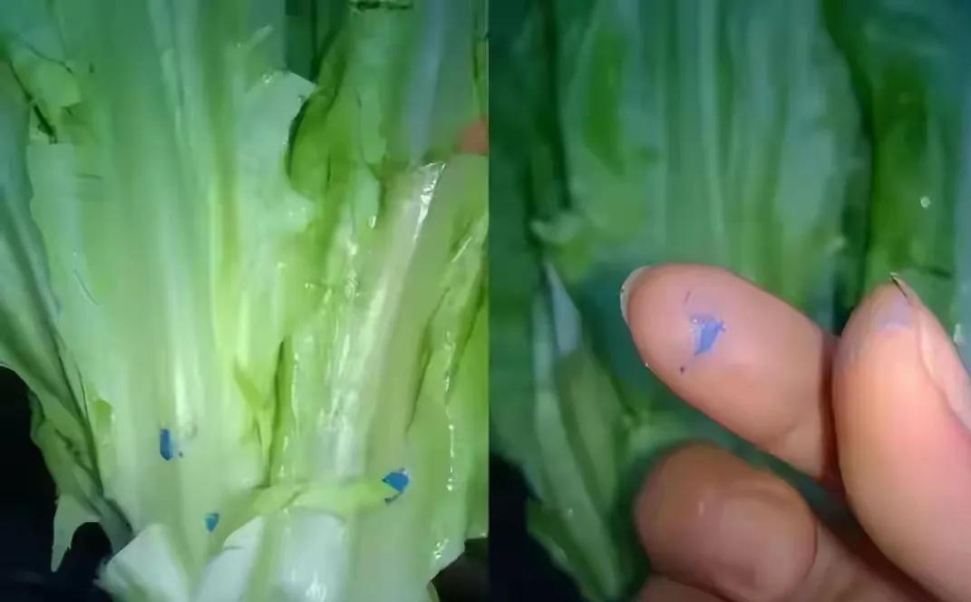 张家口白菜泡甲醛，这四个人是真倒霉。1普通老百姓最惨：钱花了，买回来的东西