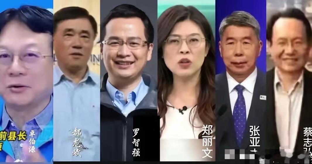 尽管郑丽文在党主席选举中民调最高，但不可否认的事实是党主席的最佳人选仍是张亚中。