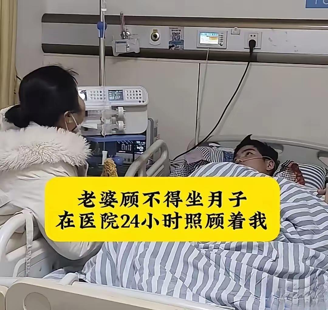 🌛各位亲朋好友，我是杨小龙。当你看到这条消息的时候，我已经于2026年5月