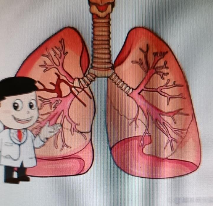 肺部有问题可真得重视起来！我知道有个好办法，每天喝一杯银耳雪梨汤，对肺超有益。银