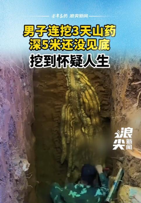 这事发生在云南西双版纳，一个男子进山挖野山药，一锄头下去，感觉不对——手感硬，根