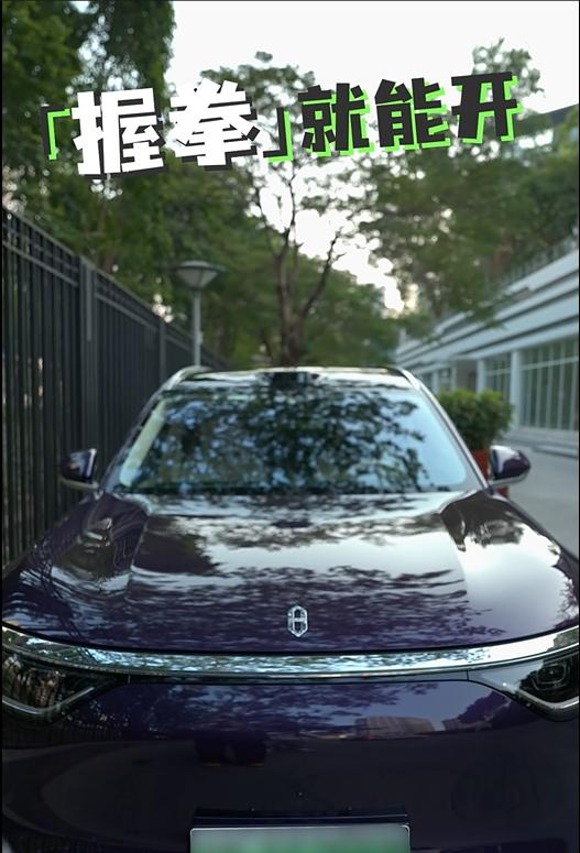 萌宠“闪电”驾到,问界M8春节OTA升级让全家欢笑出行谁能拒绝春节出行时的暖心