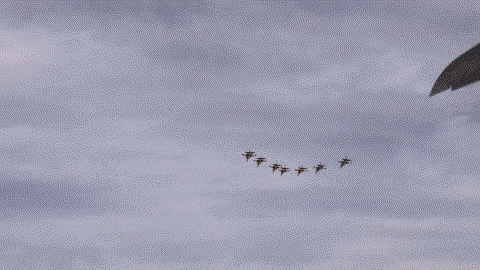 21日的迪拜航展发生“光辉”战机坠毁事故后，对在场的观众和其他国家的代表们都造成