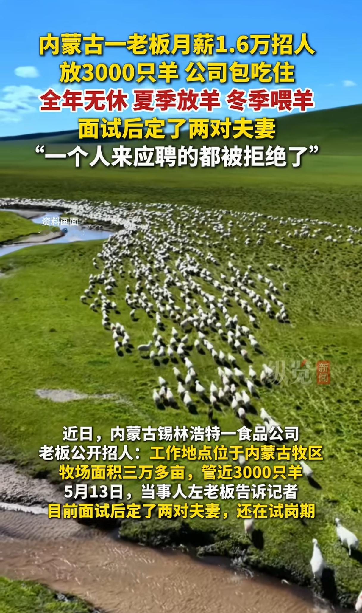 月薪1.6万放羊！3万亩牧场，近3000只羊，包吃住配马。内蒙古锡林浩