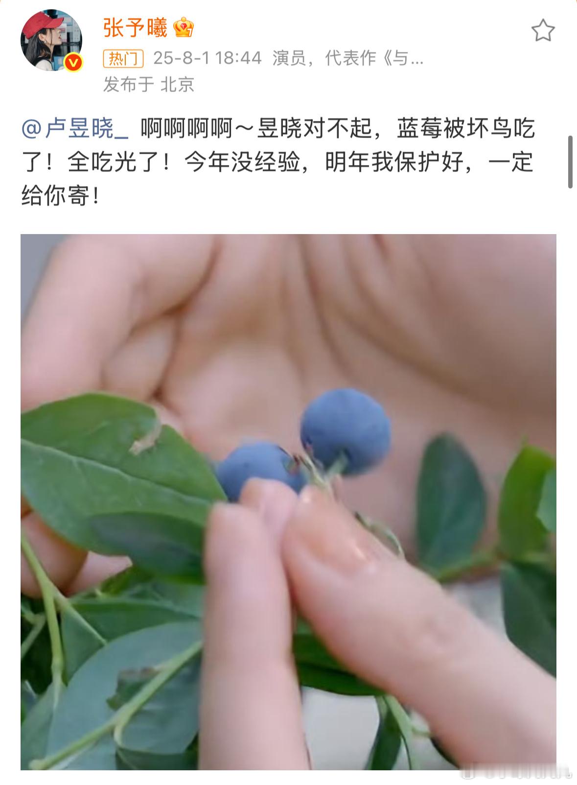 张予曦卢昱晓对不起哎？张予曦卢昱晓又是咋认识的？​​​
