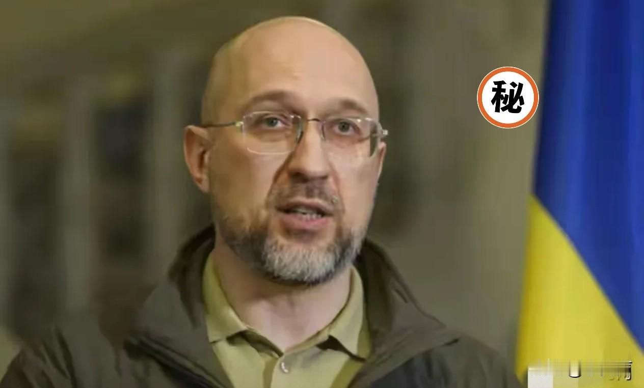 乌克兰又有振奋人心的好消息了，圣诞特大好消息啊。一举拿下300万架FPV精确