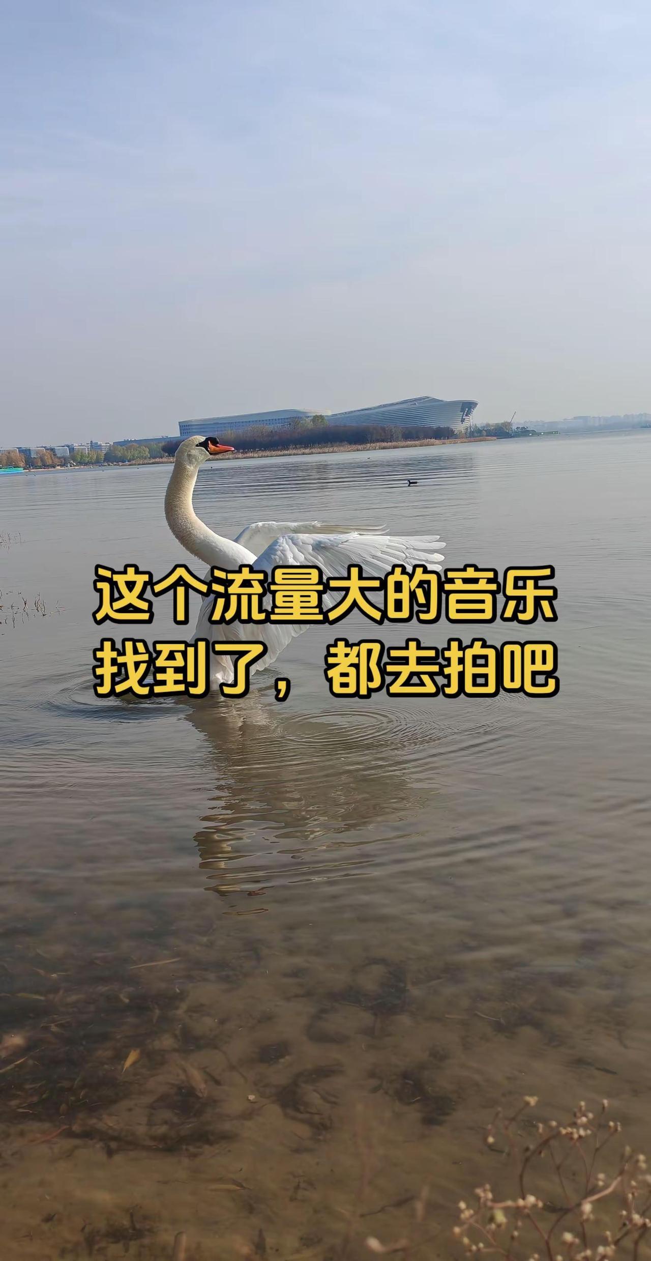 无滤镜的美风景摄影沿途风景随拍