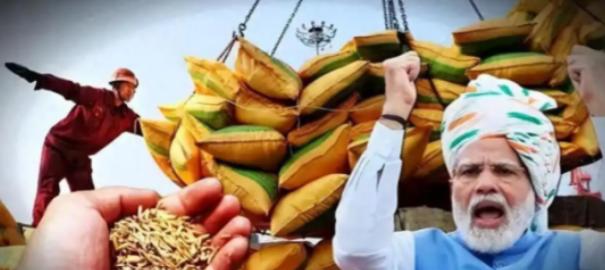 中印两国都顶着14亿人口的盘子，粮食账却算出了截然不同的结果：中国年产7亿吨粮还