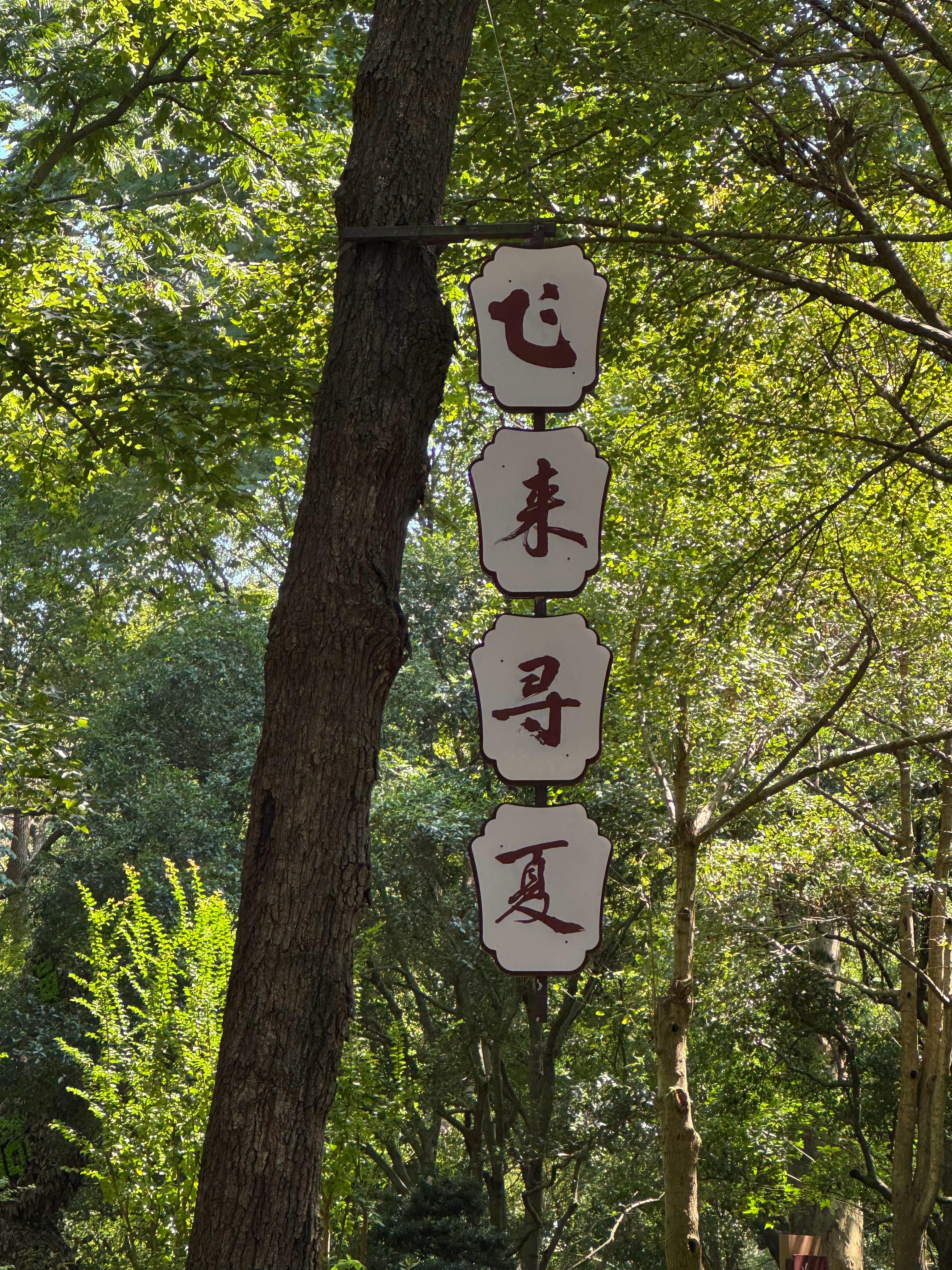 来杭州旅游看西湖，别光看西湖。西湖风景区超级大，湖里面的森林覆盖率非常惊人，有很