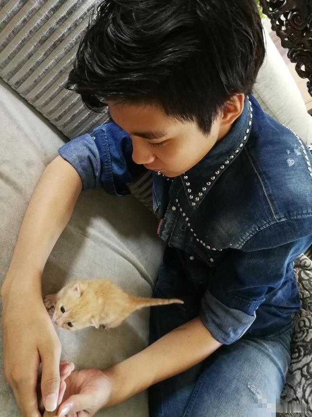 许何的小奶猫真幸福，许何父子俩对它很好呀，有吃有玩的。