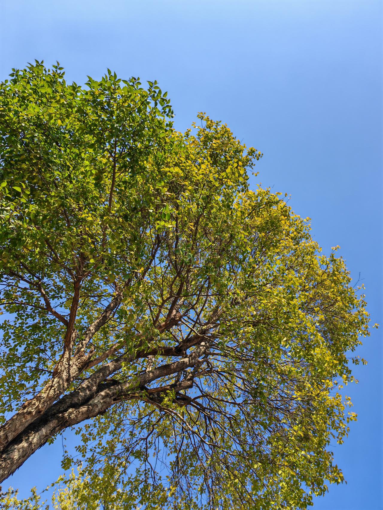 我问她是不是挺忙的啊，她说年底了事情多，这两天卖了一套房子，买卖双方都是我们小区