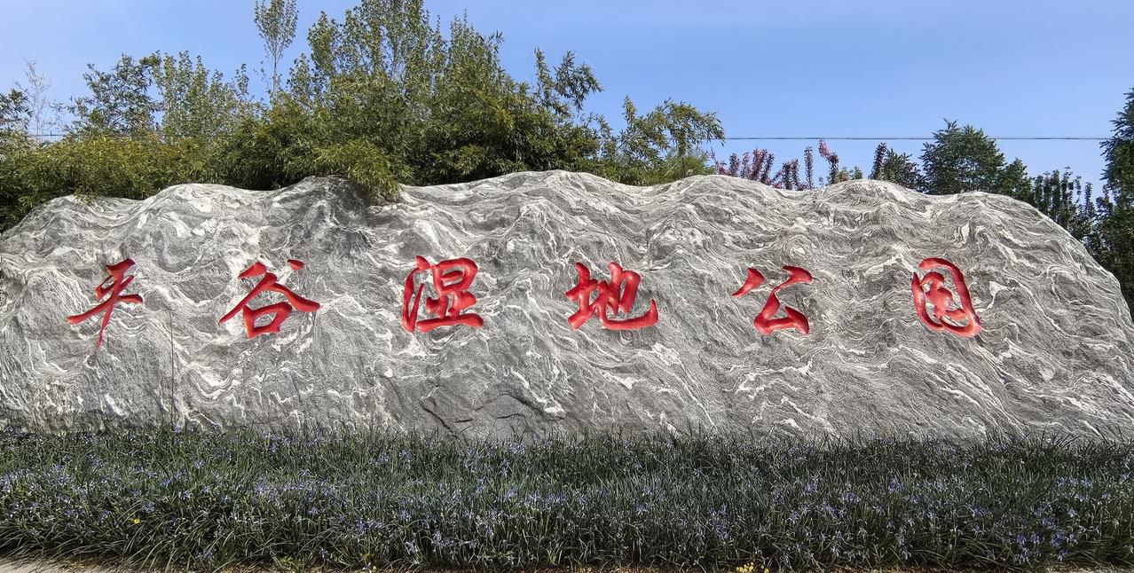 早上一大早我看到一则信息说：北京平谷荣列2026春季赏花游十大热门目的地，稳居春