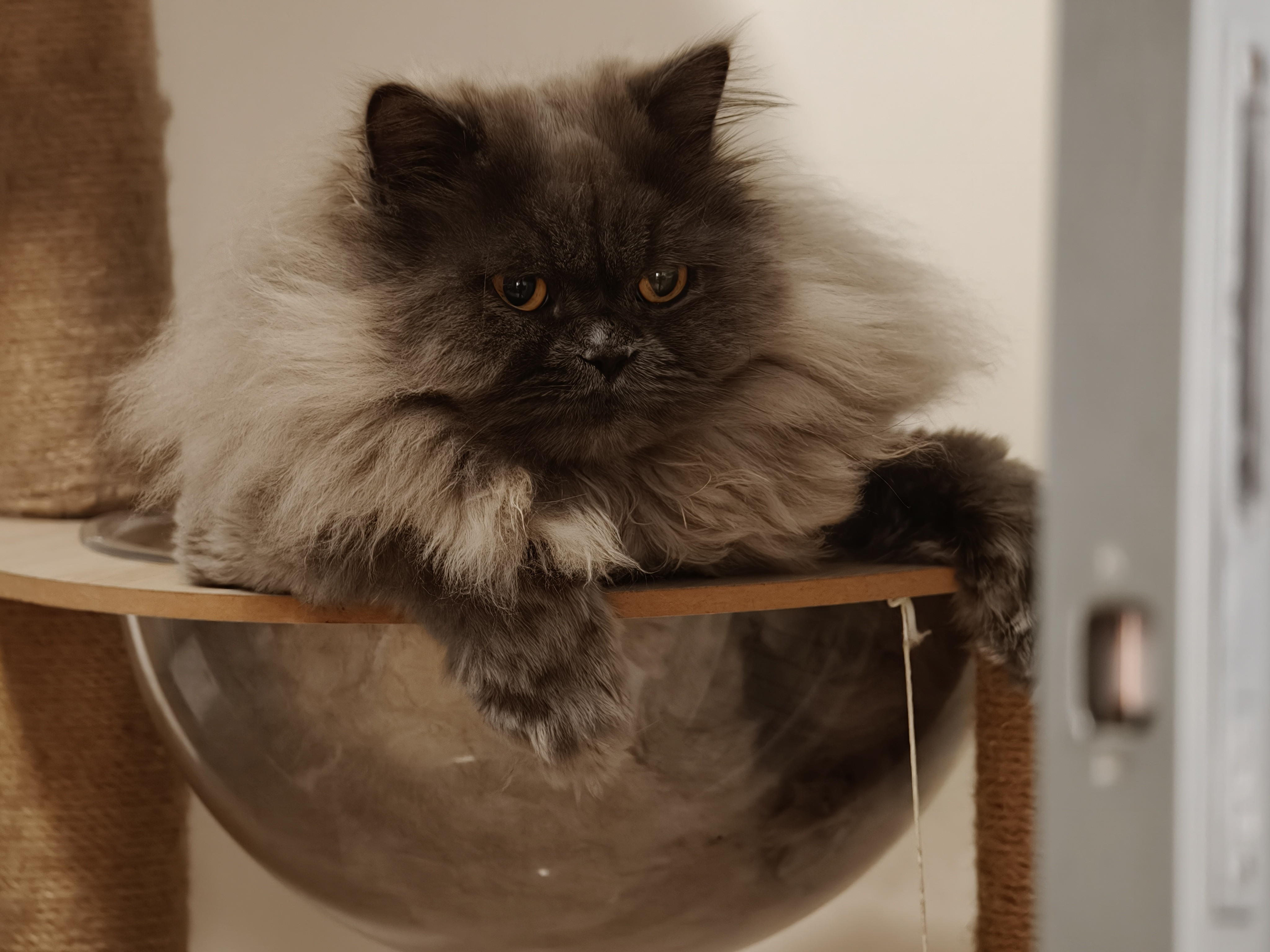 我总觉得，OppoFindX9Pro在哈苏增倍镜模式下的算法，和其他模式是