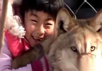 记者问她，认不认识那头带领救援队走出山火的狼王。她愣了很久，只问了一句：“那