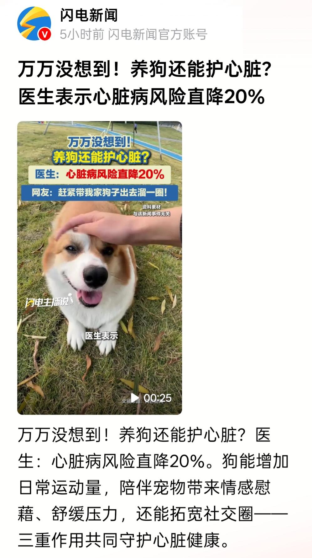 “养狗护心论”是胡说八道的伪科学！宠物医生：养狗让心脏病风险直降20%。理由