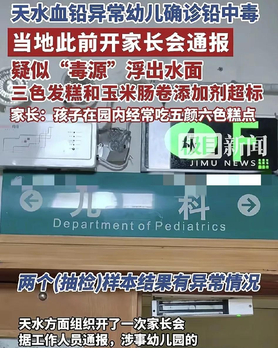 7月6日，甘肃天水一小幼儿园使用添加剂致幼儿的血铅超标异常，事件引发社会的关