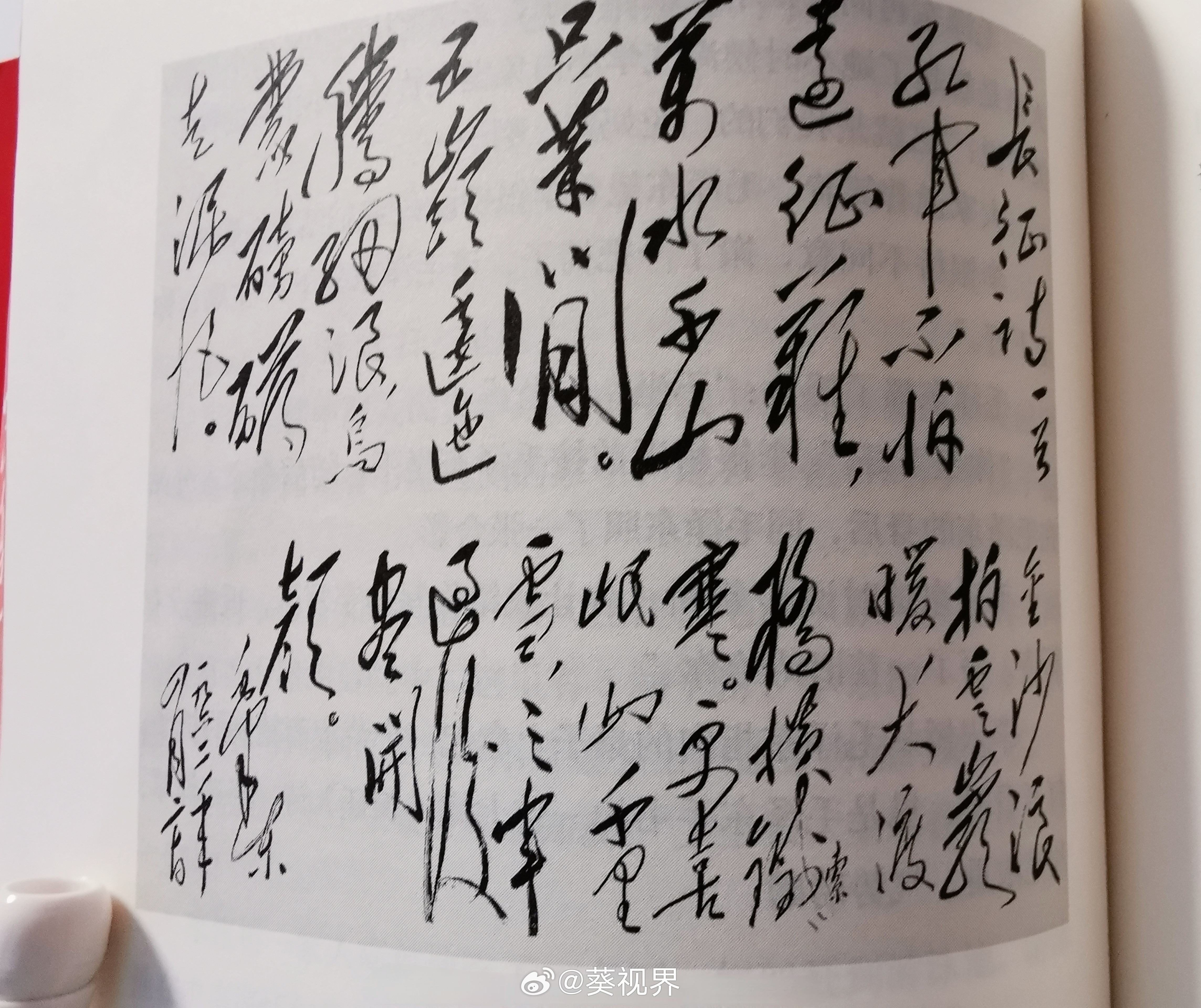 细节。李银桥即将调去天津，教员邀请他们全家吃饭。两口子怕孩子吵闹，于是大人先进会