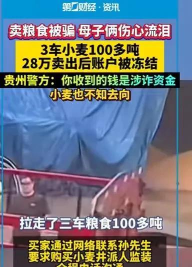 河南新乡,男子认识一个收粮食的买家,他看到哥哥家的小麦很多,就介绍给哥哥,哥哥就