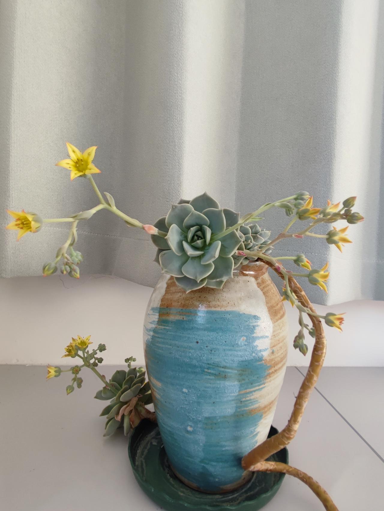 钱比人重要朋友开了三十多年的店，生意一直很红火，钱也没少赚，年前她老公突发脑出