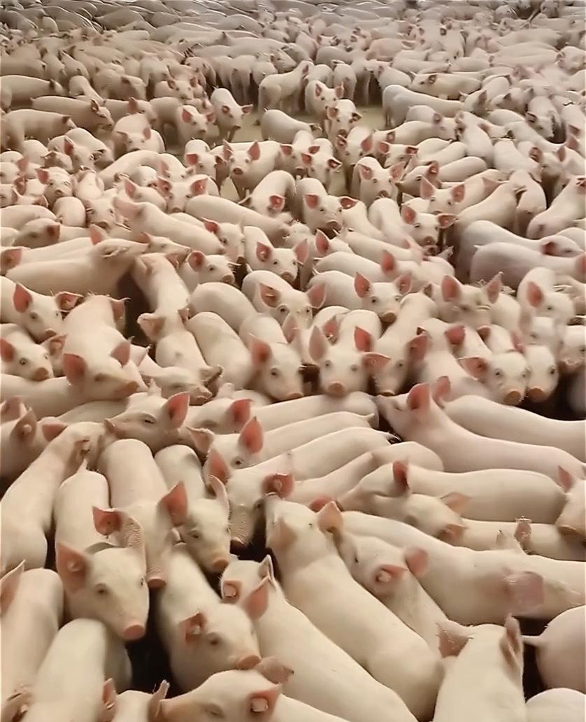 职场上坦诚能让工作更高效，减少内耗。