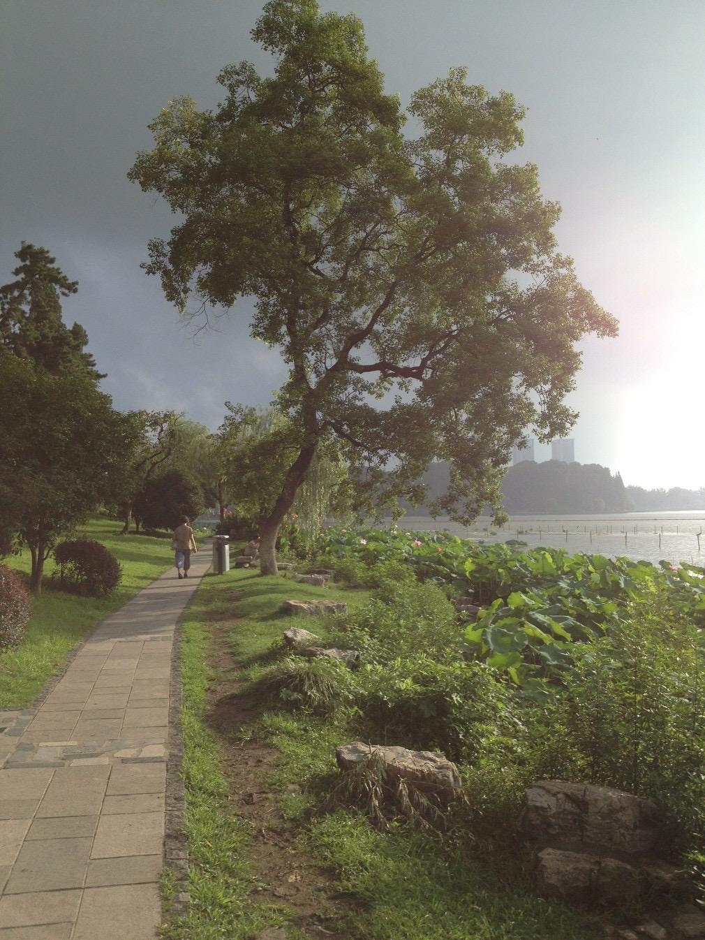 我看最近很多人在讨论满清王朝，发表一下个人的观点，满清作为中国最后一个封建王朝，