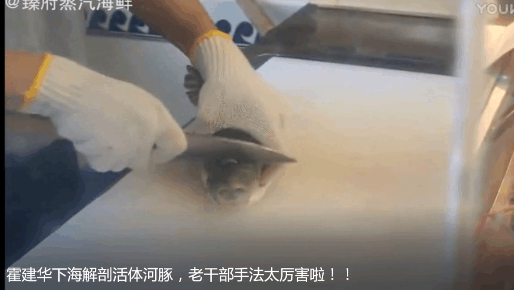 打开 日本鬼子活体解剖中国人,亲眼看着自己的器官被拿出来,太残忍了