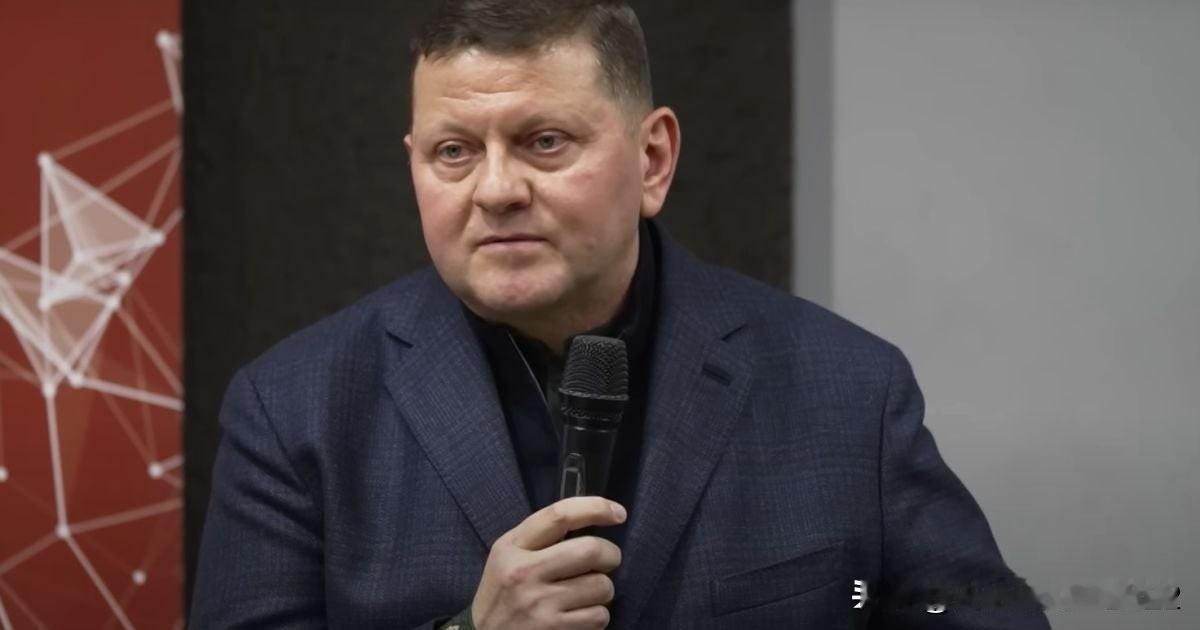 扎卢日尼列出乌克兰的主要安全保障摘要：扎卢日尼认为，战争的胜利就是俄罗斯帝