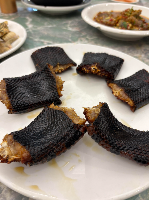美味蛇宴，可惜我不敢尝试，喝了一杯蛇胆矿泉水大家敢吃这美食吗？