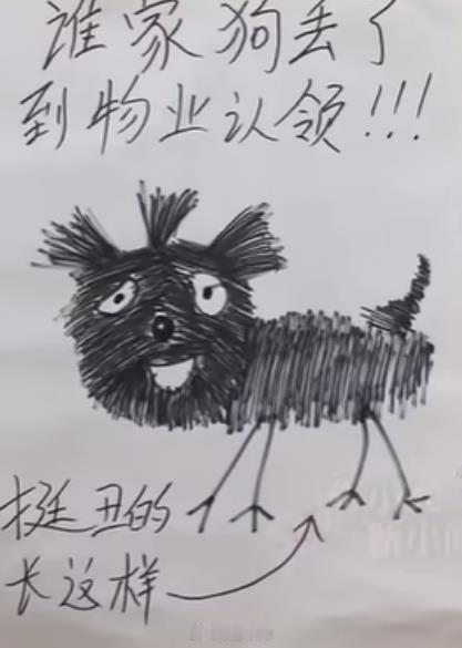 这物业一定学过抽象画，画的真传神​​​