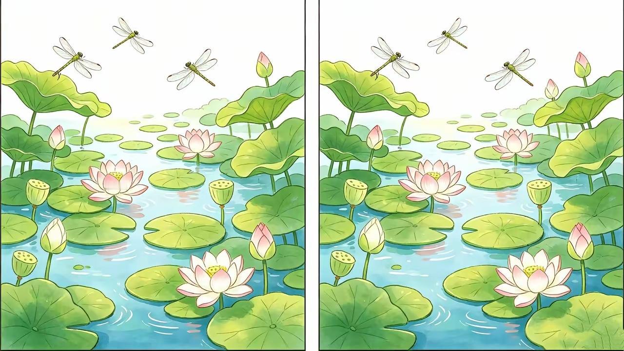 满池荷花两幅图，8处差别藏得很深，你能找出几处？看图找茬趣味互动解压小游