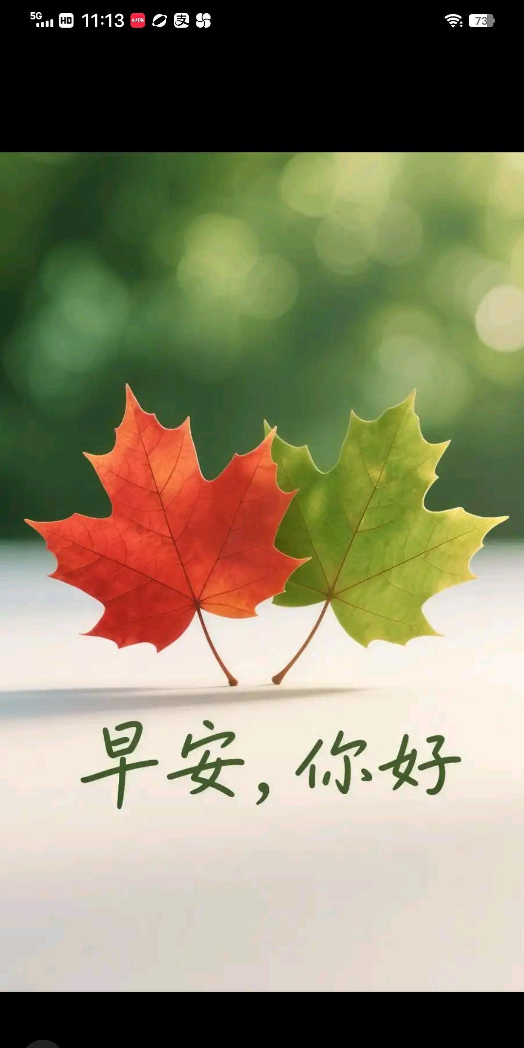 我发现郑州已不再是以前的郑州了提桶跑路的人越来越多了做生意的人是越来越少了